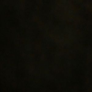 Meet your Posher, Lizzy